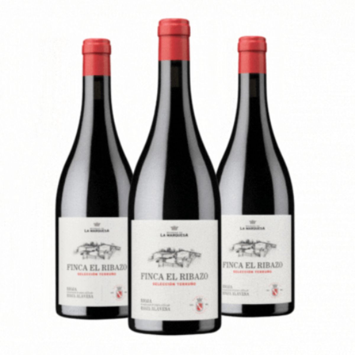 TRIO-2018-VALSERRANO-FINCA-EL-RIBAZO